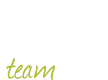 logo flinkteam